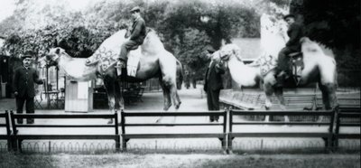 Riding Camels Bedecked for the Peace Day Celebrations by Frederick William Bond